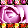Wish A Beautiful Day!