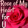 Rose Of My Heart For You!