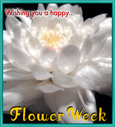 A Wonderful Flower Week Card.