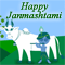 Heartiest Wishes On Janmashtami.