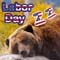 Labor Day And Bear