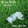 Labor Day Cat!