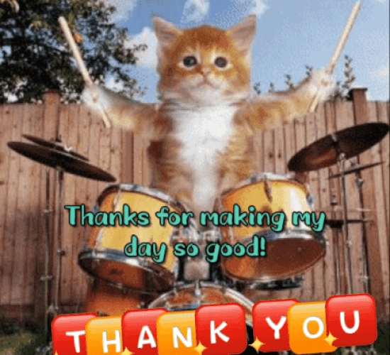 thank you kitty gif
