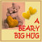 Beary Big Hug.