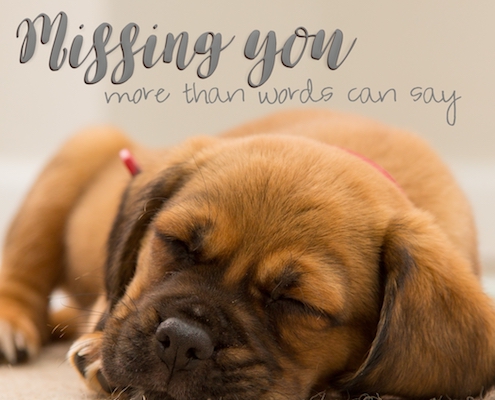 More Than Words Can Say. Free Miss You eCards, Greeting Cards | 123