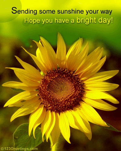 A Warm Wish Free Floral Wishes ECards Greeting Cards 123 Greetings