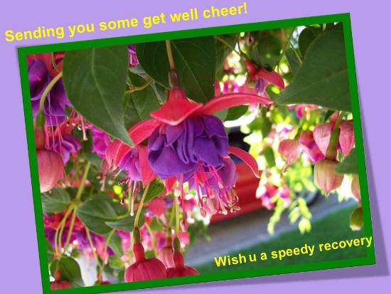 wishes recovery speedy health wish flowers greetings floral parents anniversary