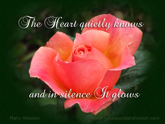 The Heart Quietly Knows.