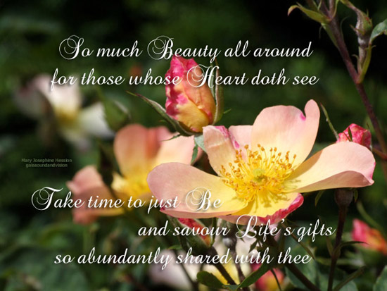 So Much Beauty All Around.