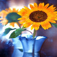 Flower.