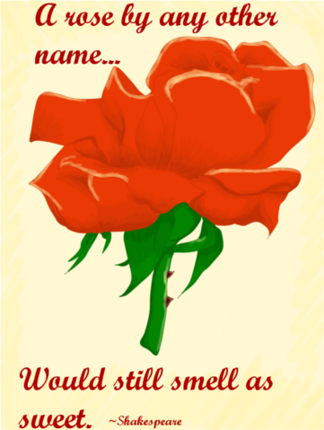 A Rose By Any Other Name...