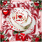 A Single Rose.