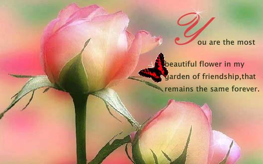 You Are The Most Beautiful Flower. Free Roses eCards ...