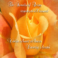 The Beauty Of Being.