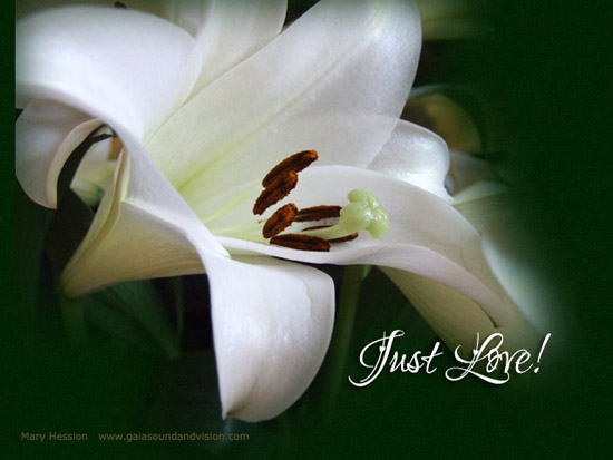 Just Love.