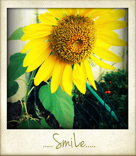 Smile.
