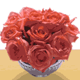 Roses For Someone You Care...