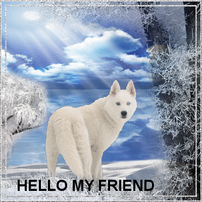 Hello.
