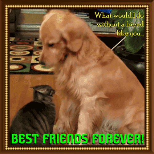 The Best Friend Ecard...
