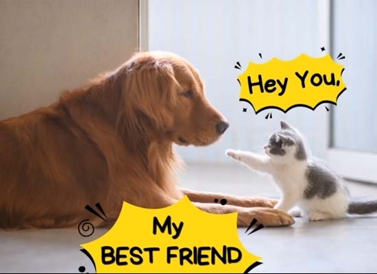 Best Friend Thank You Ecard Free Best Friends eCards, Greeting Cards ...