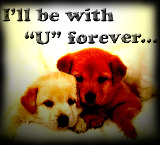 Always Beside You Forever. Free Friends Forever eCards, Greeting