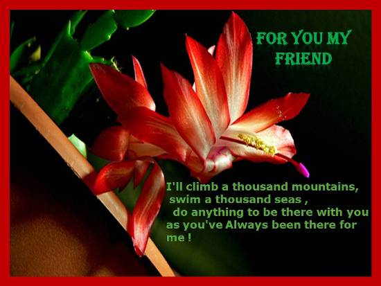 friend friendship love quotes for dear friends on your best friend ...