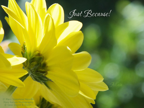 Just Because. Free I'm Always Here for You eCards, Greeting Cards | 123