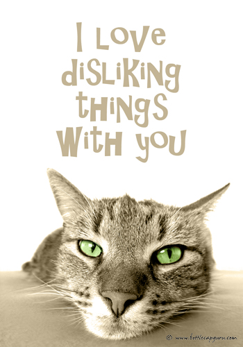 I Love Disliking Things With You!