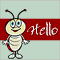 Bug Says A Hello!