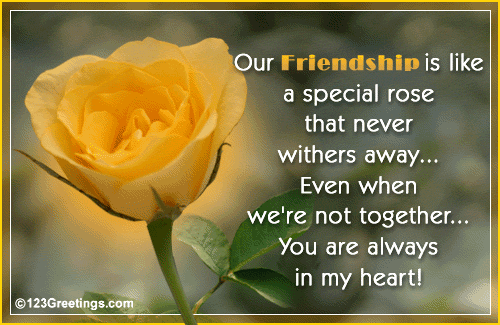 Our Friendship Rose Will Never Wither Away!