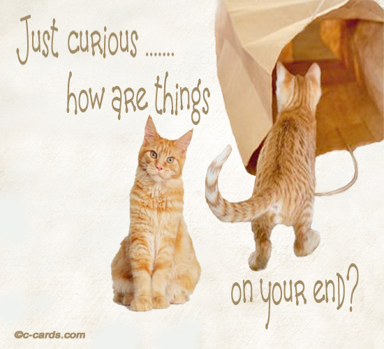 Just Curious.