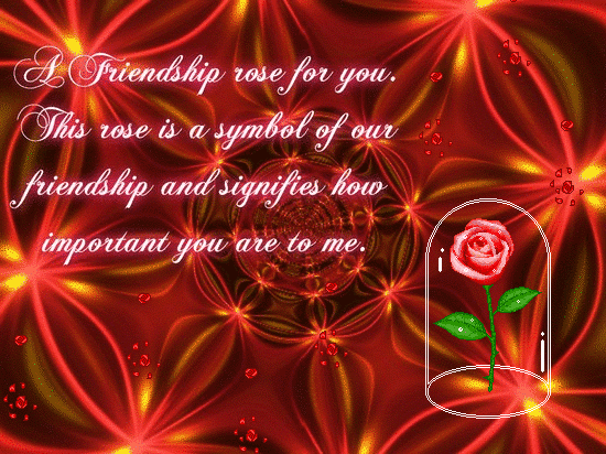 A Friendship Rose For You.