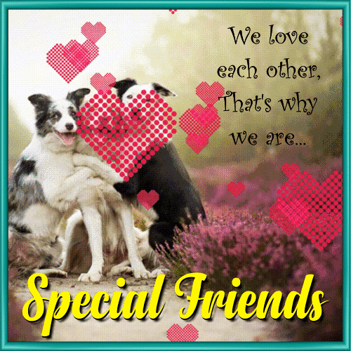 We Are Special Friends!