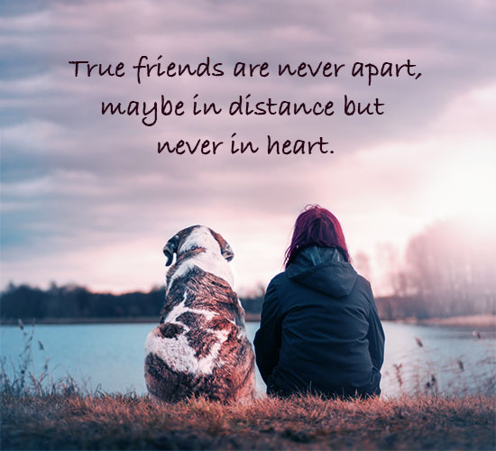 True Friendship Is Never Serene.
