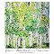 Green Birches In A Meadow.