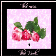 Roses Instead Of Words...