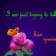 Specially For You.