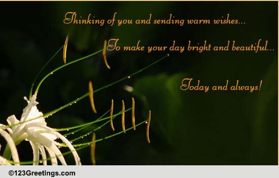 Sending Warm Wishes... Free Thoughts eCards, Greeting Cards  123 Greetings