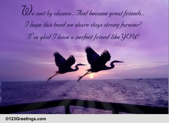 Our Friendship Is A Special Bond. Free Thoughts eCards, Greeting Cards