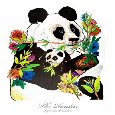 The Pandas.