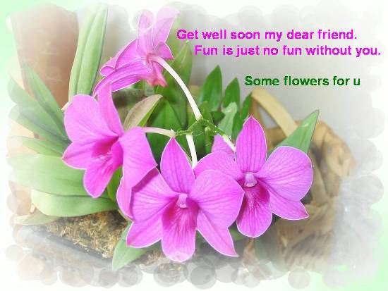 Wish Good Health To Your Friend. Free Get Well Soon eCards | 123 Greetings