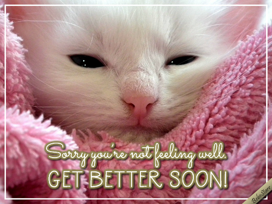 So, You’re Not Feeling Well? Free Get Well Soon eCards | 123 Greetings