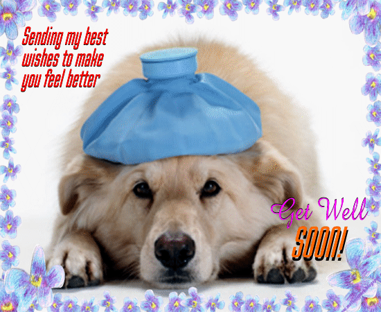 My Cute Get Well Ecard Free Get Well Soon Ecards Greeting Cards 123