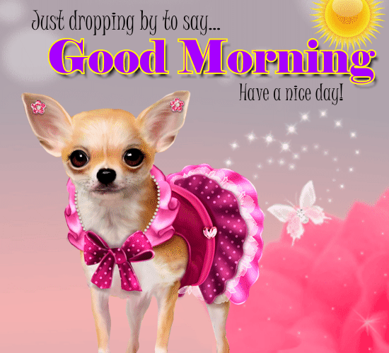 Cute Doggy Says Good Morning! Free Get Well Soon eCards, Greeting Cards