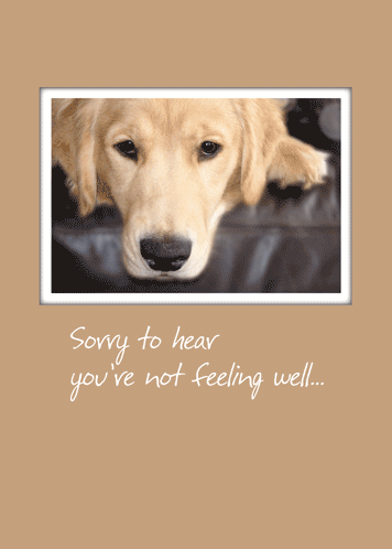 Send Get Well Cheer With This Retriever... Free Get Well Soon eCards