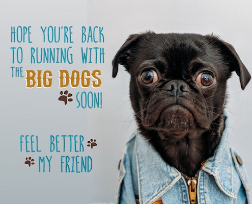Feel Better My Friend. Free Get Well Soon eCards, Greeting Cards | 123
