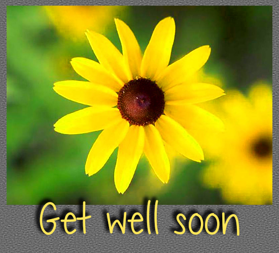 Get Well Soon Yellow Flower.