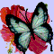 Get Well Butterflies.