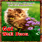 A Get Well Soon Card For You.
