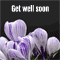 Get Well Soon Flowers...